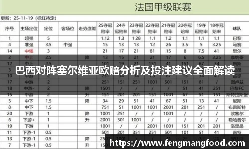 巴西对阵塞尔维亚欧赔分析及投注建议全面解读